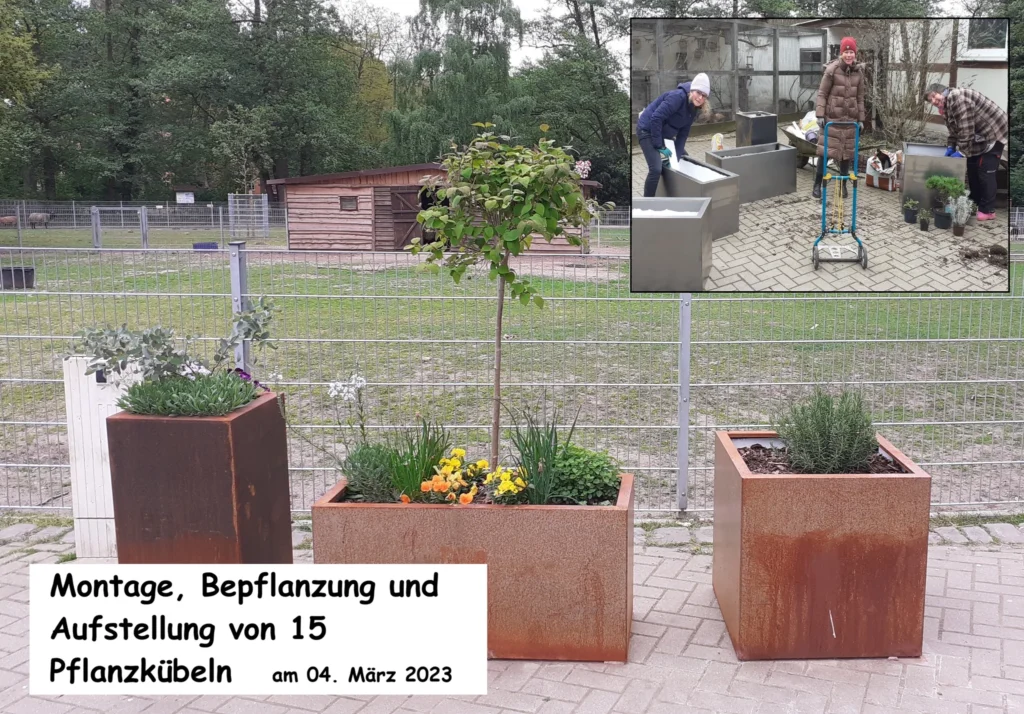 2023-03 Pflanzkübel
