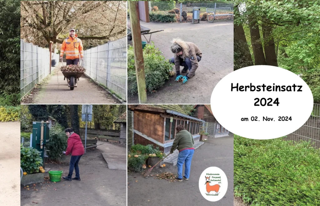 2024-11 Herbsteinsatz