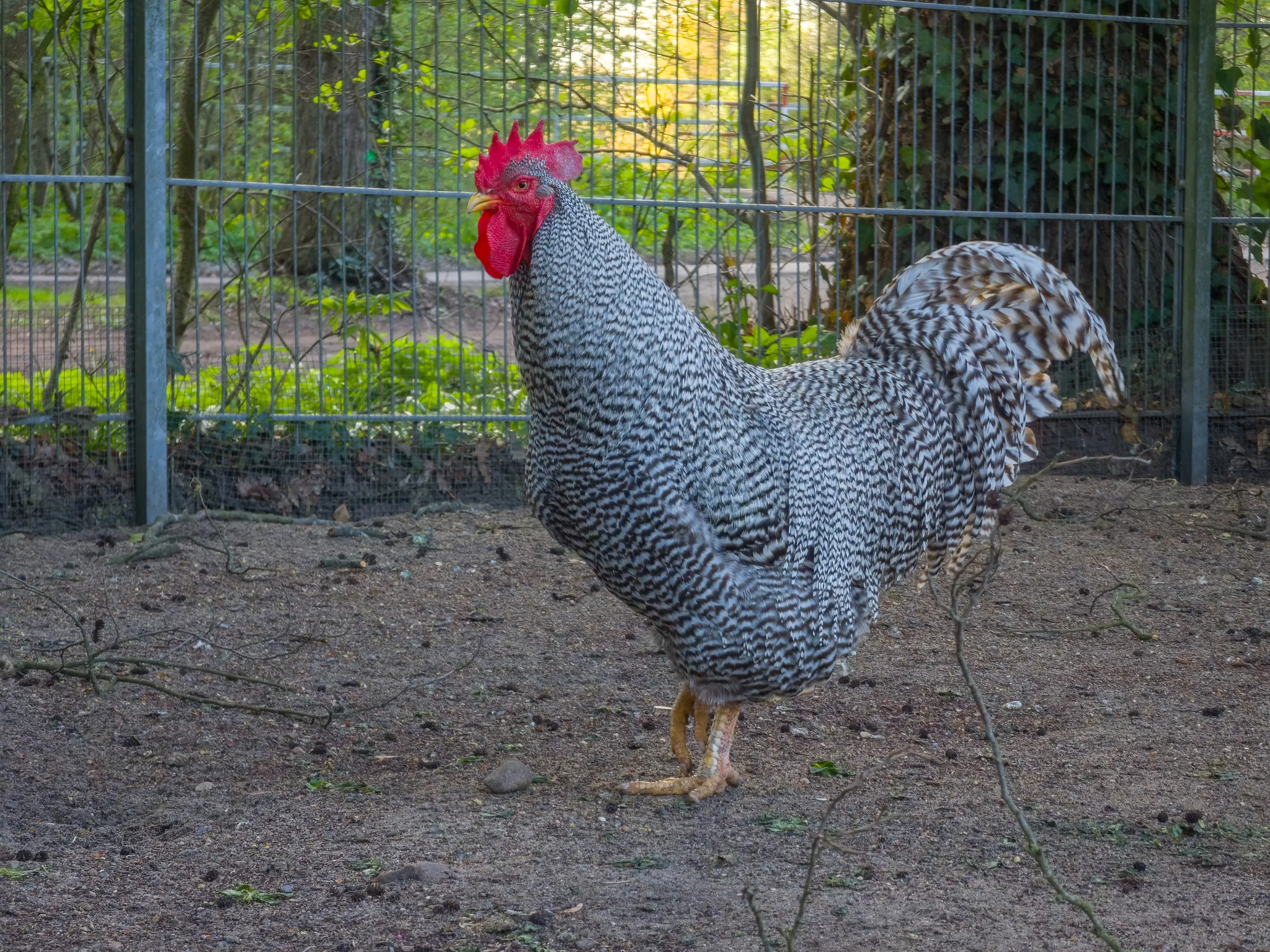 Tierpark Salzwedel