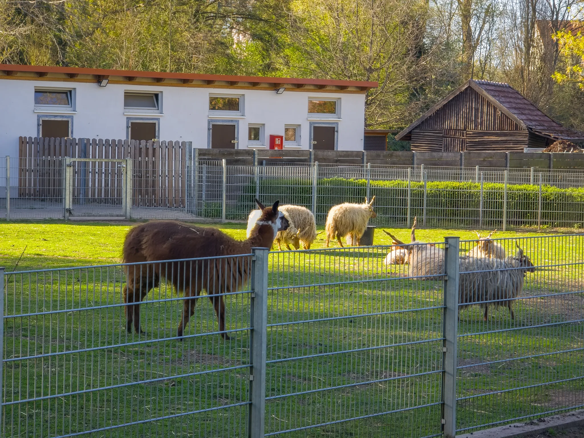 Tierpark Salzwedel