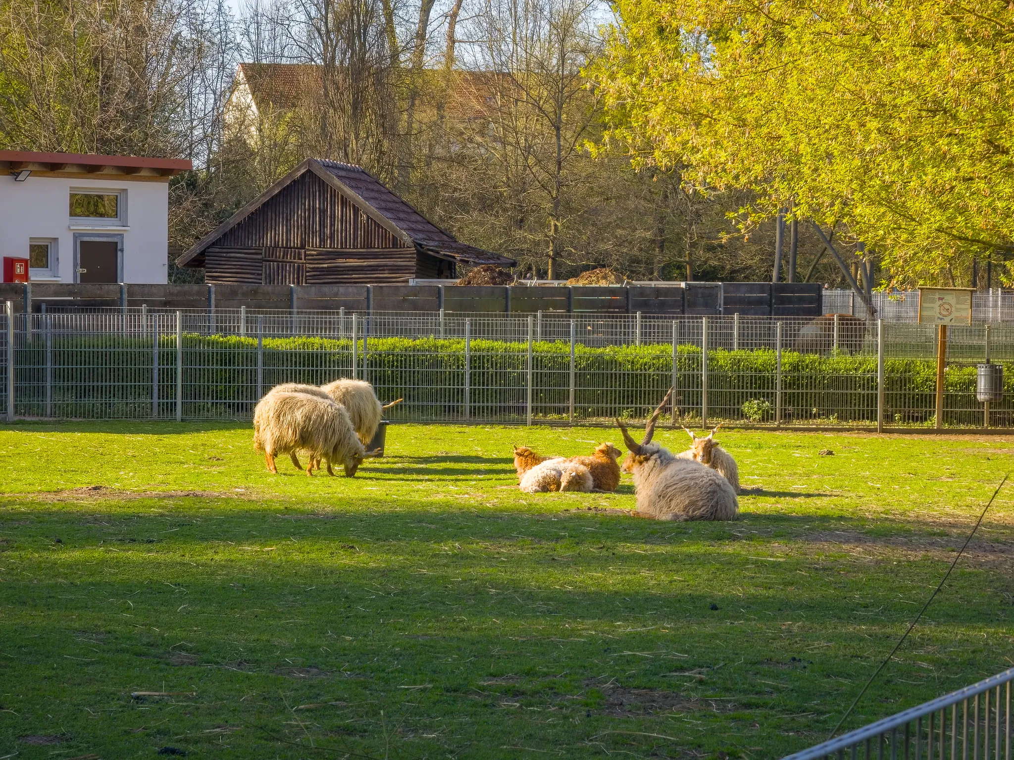 Tierpark Salzwedel