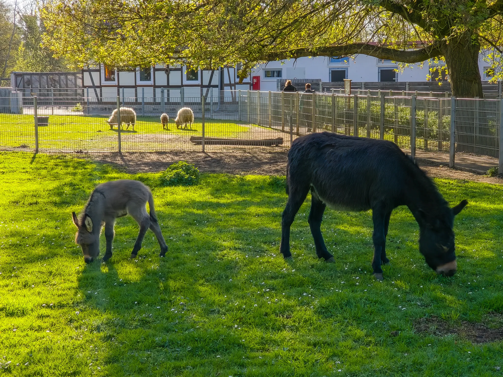 Tierpark Salzwedel