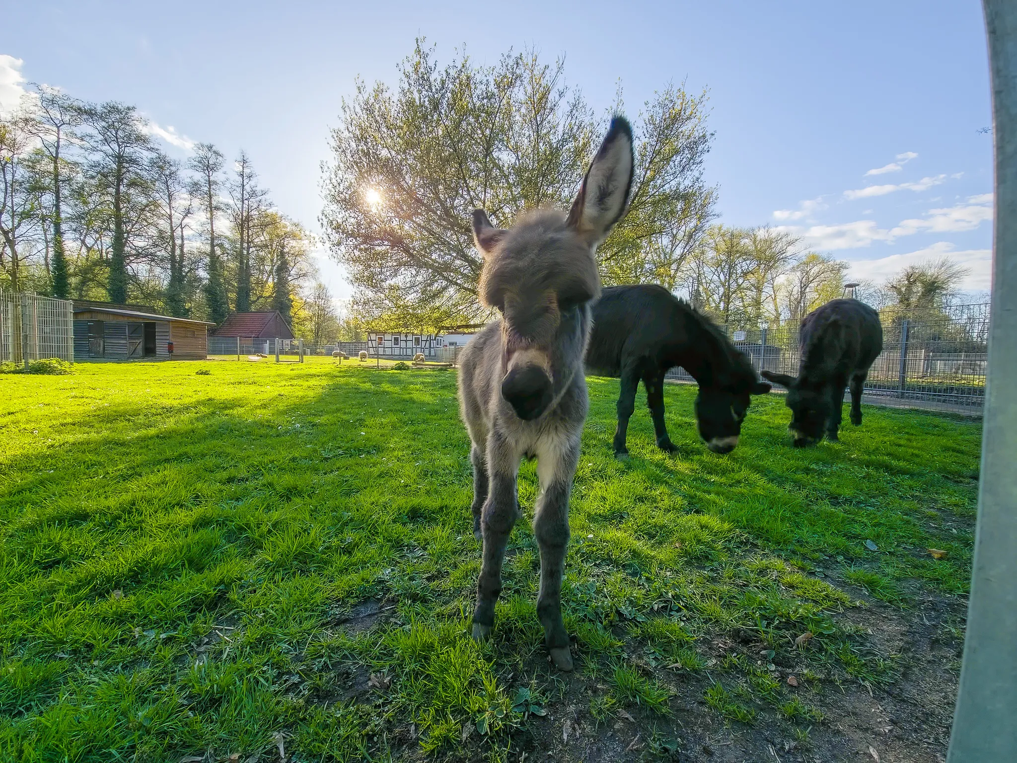 Tierpark Salzwedel
