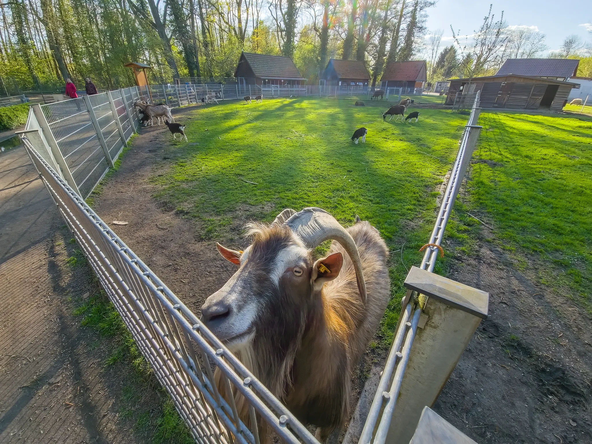 Tierpark Salzwedel