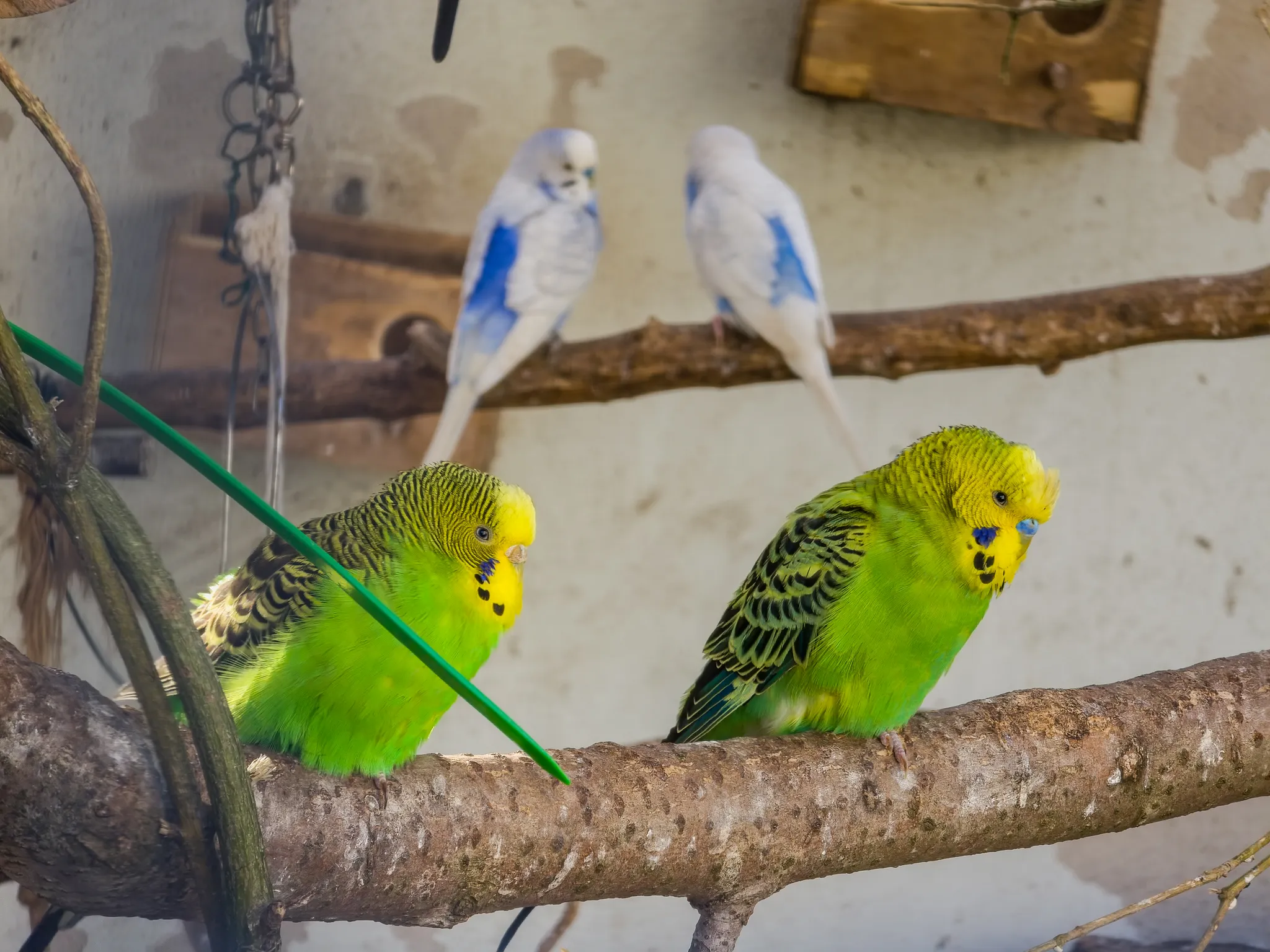 Tierpark Salzwedel