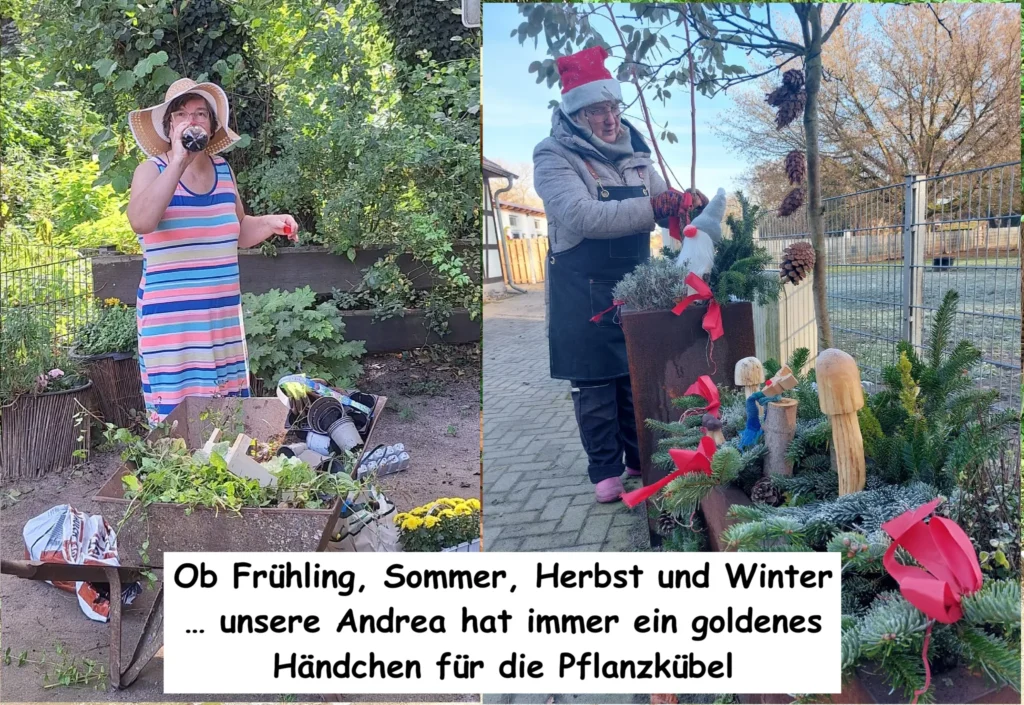 Pflanzkübelpflege