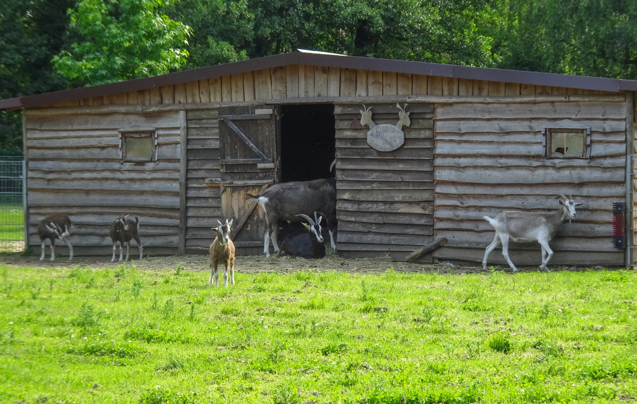 Tierpark Salzwedel