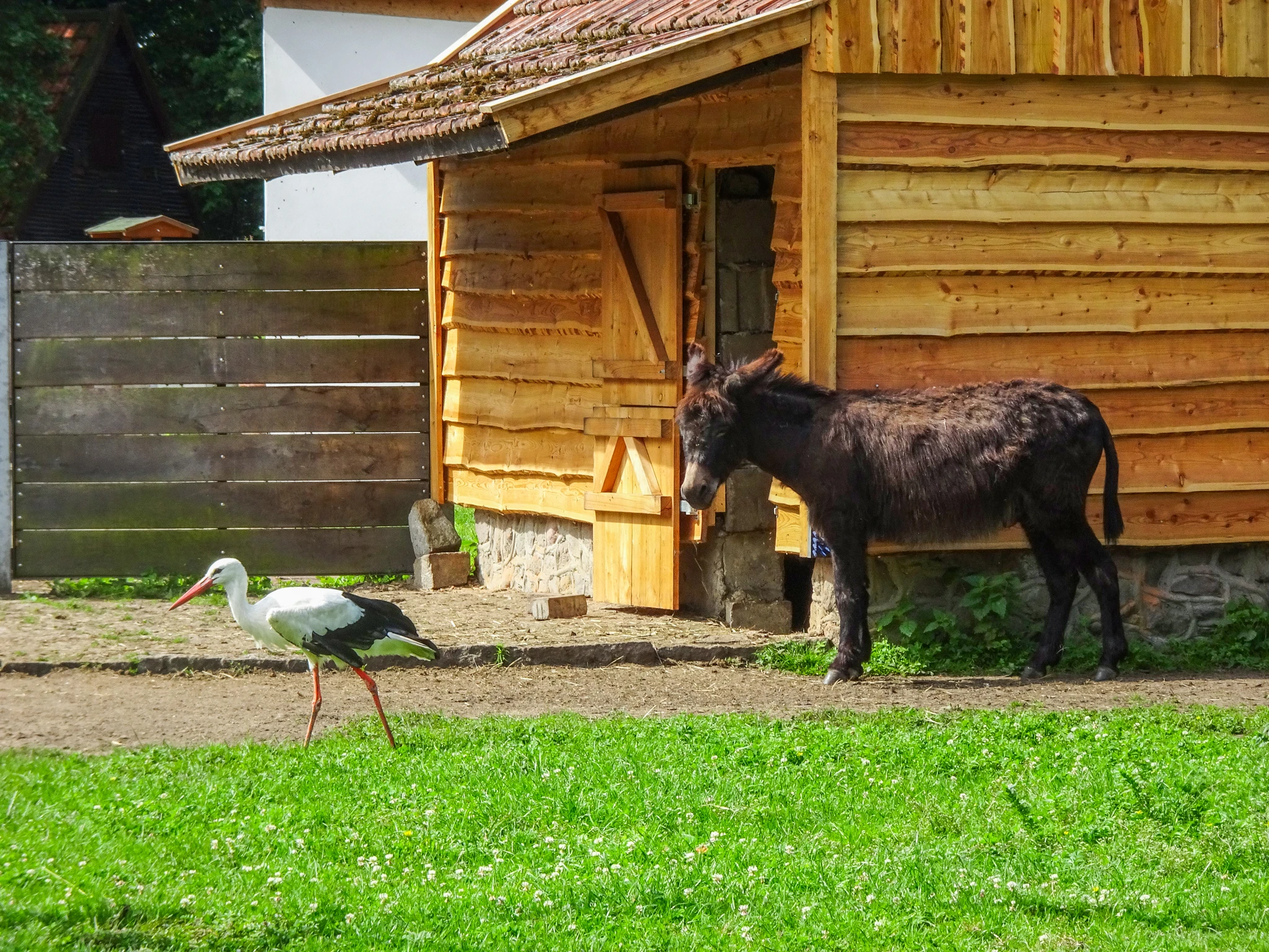 Tierpark Salzwedel