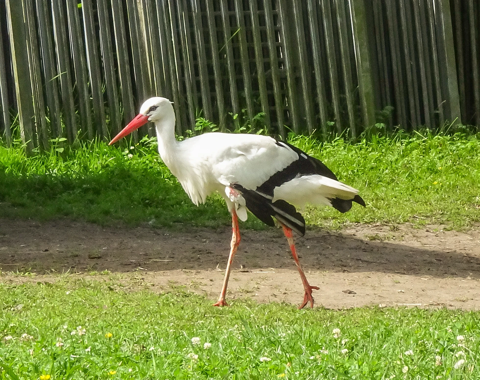 Tierpark Salzwedel