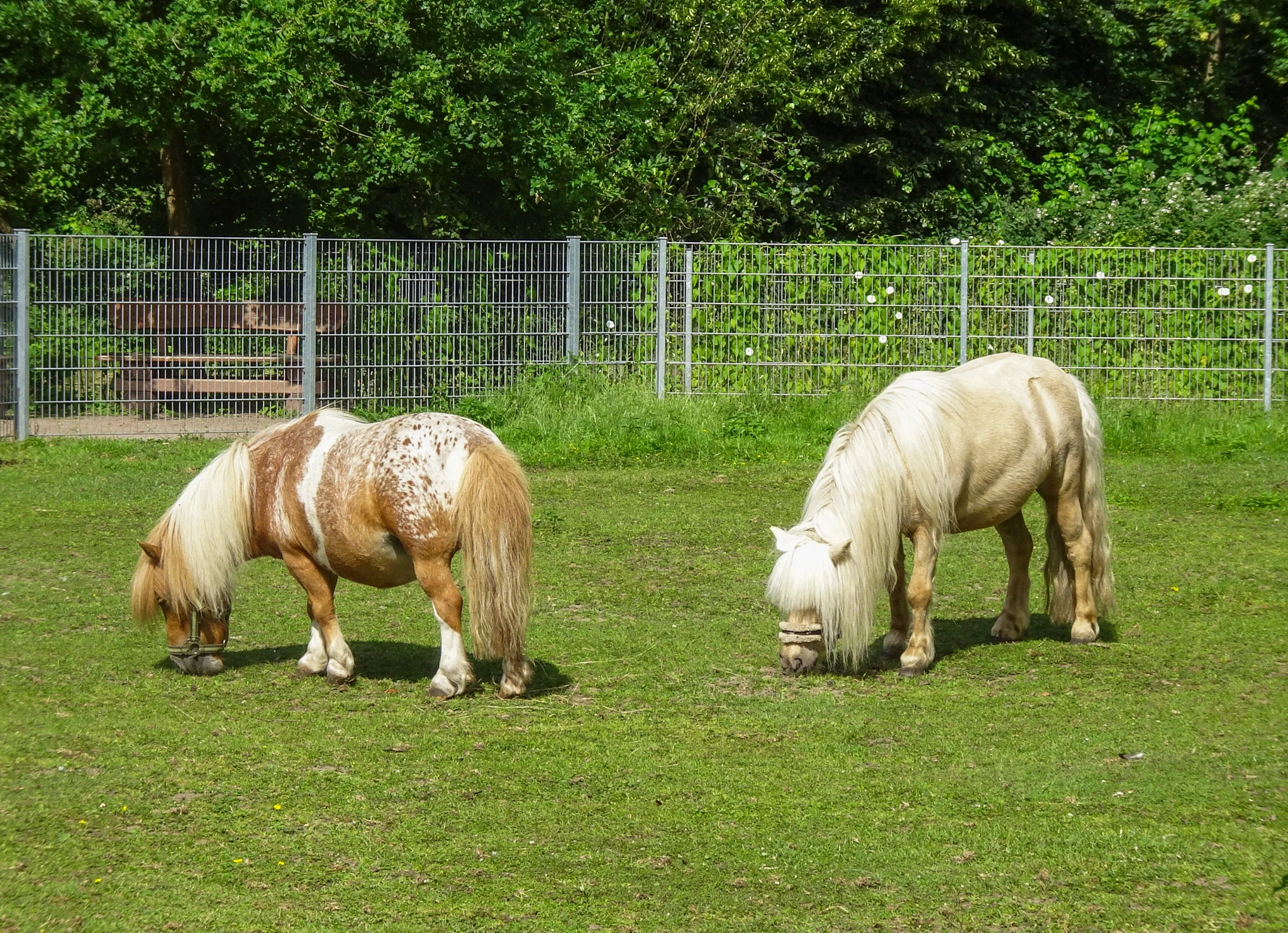 Tierpark Salzwedel