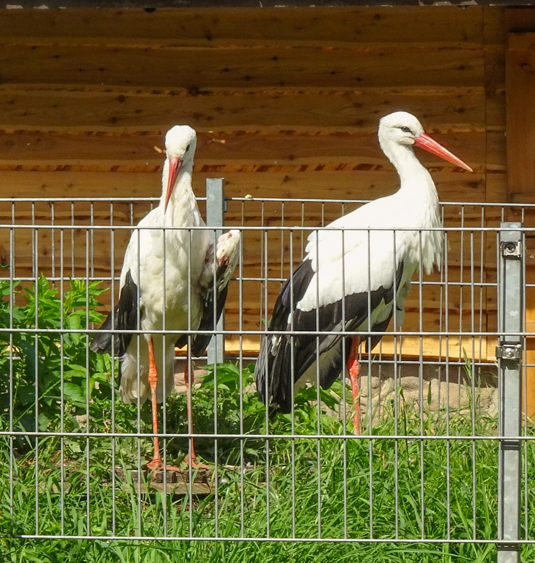Tierpark Salzwedel