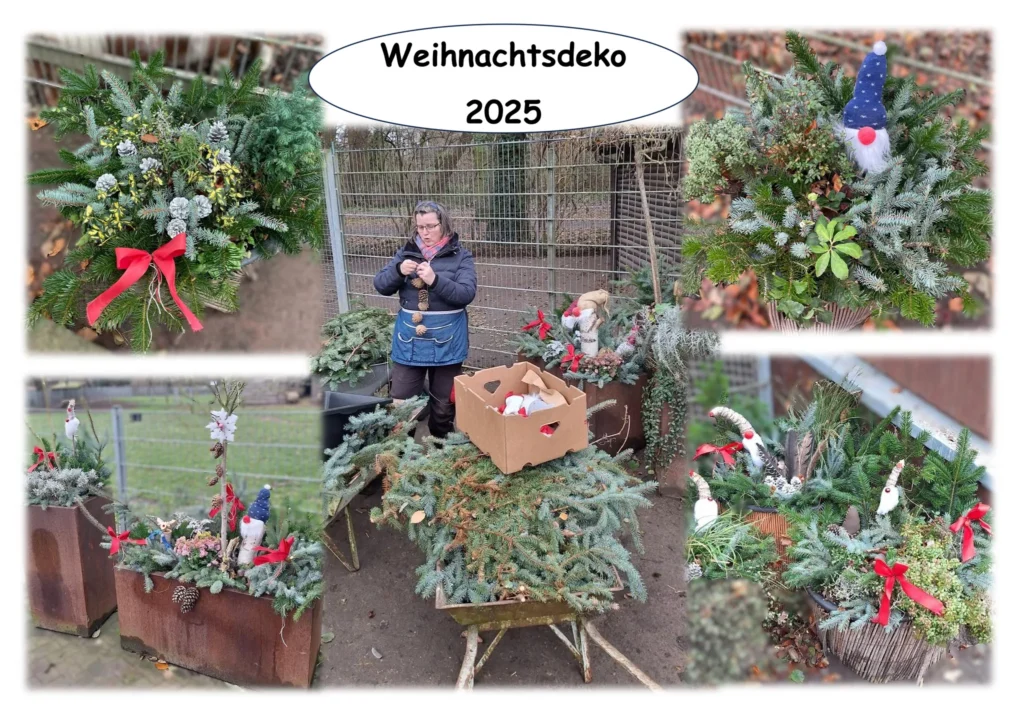 Weihnachtsdeko 2025